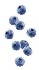 Wall Mural - falling blueberry isolated on white background, full depth of field