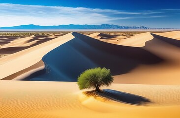 sand dunes 