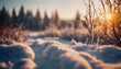 Risveglio nella Neve- Atmosfera Magica di un'Alba Invernale