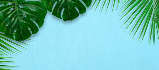 Wall Mural - Tropical leaves on blue background. Banner of palm leaf, monstera leaves with copy space. minimal summer concept. Flat lay, Top view