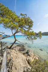 Wall Mural - Beautiful Notre Dame beach (Plage Notre-Dame) on Porquerolles island (l'île de Porquerolles), France