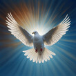 Weiße Taube im Flug mit strahlendem Heiligenschein vor blauem Himmel