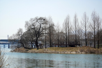 Wall Mural - the spring scenery of the Han River