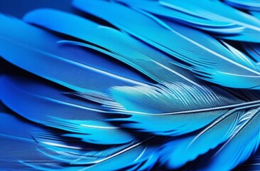 Wall Mural - blue feathers background