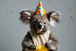 koala wearing birthday suit