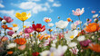 A field of vibrant wildflowers in full bloom, Beautiful  of spring flower field background