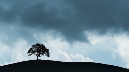 Wall Mural - a tree is standing on a hill in front of a cloudy sky
