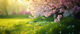 Fototapeta Fototapety z naturą - Beautiful spring nature landscape with blooming trees. Meadow, green hills, glade with flowers on sunny day. Generative ai 