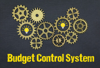 Canvas Print - Budget Control System	
