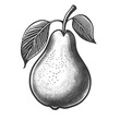 Pear fruit plant food sketch engraving generative ai raster illustration. Scratch board imitation. Black and white image.