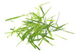Fresh green cut wild grass isolated on white background and texture, top view
