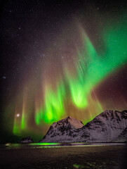 Wall Mural - Northern lights aurora on Lofoten, Norway