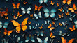 Schmetterlinge Schmetterling Hintergrund Bild Muster Wallpaper