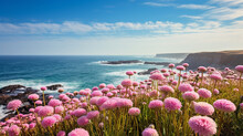 Pink Sea Thrift Flowers On The Sea And Blue Sky