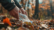 Hand of man picking up bottle while cleaning area in park. Volunteering, charity, people, ecology concept. Closeup volunteer collecting plastic trash in forest