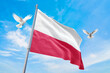Waving flag of Poland in beautiful sky and flying pigeons. Poland flag for independence day. The symbol of the state on wavy fabric.