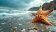 starfish on the beach. Starfish on the sand closeup. Closeup of a sea star on a sandy beach in tropical location