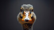 Portrait of a brown duck on black background.