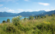 summer landscape Kaltenbrunn with flower meadow, view to lake Tegernsee and bavarian alps