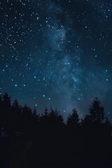Aufkleber - A peaceful night sky with stars shining above a forest. Ideal for nature and night sky themes