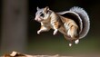 A Flying Squirrel With Its Fur Standing On End In