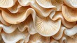 Abstract organic natural beige brown color waving lines mushroom texture background banner illustration wallpaper backdrop for webdesign