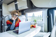 Online remote worker using laptop inside a modern camper van living vanlife and wanderlust adventure travel lifestyle. Digital nomad concept. Living off grid people. Nature view outside the window