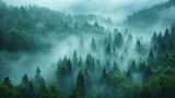Fototapeta Londyn - Amazing mystical rising fog forest trees landscape in black forest blackforest ( Schwarzwald ) Germany panorama banner