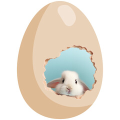 Wall Mural - Easter bunny in an egg on a transparent background