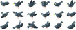 Pigeon mascot icons set isometric vector. Angry bird. Dove funny character