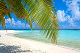 Fototapeta Most - beautiful beach on the maldives