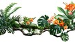 Tropical vibes plant bush floral arrangement with tropical leaves Monstera and fern and Vanda orchids tropical flower decor on tree branch liana vine plant isolated on white background.
