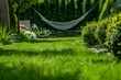 young green mown grass, green bushes, ornamental grass and a hammock in the background