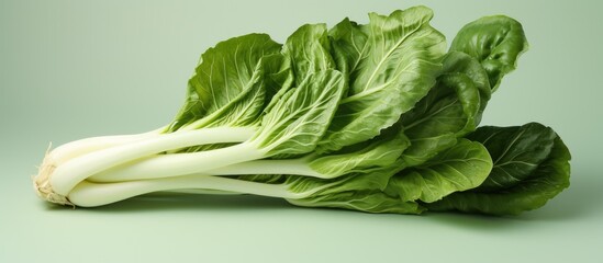 Wall Mural - A pile of leafy green lettuce, a type of leaf vegetable, is displayed on a table. This food ingredient is commonly used in various dishes and cuisines