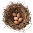 © jirayut - Eggs in Bird's nest on transparent background