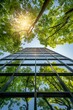 © Eva - Modern cityscape  eco friendly glass office building integrated with greenery for sustainable living