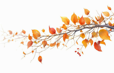 Watercolor autumn branch clipart isolated on transparent background