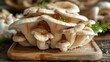 Oyster mushrooms on a dead beech trunk. Healthy food. Organic mushrooms.