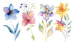 Delicate Watercolor Fairy-tale Flora