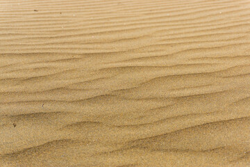  Maspalomas Dunes on Gran Canary Island Spain