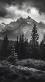 Fototapeta  - Professional monochrome photography of coniferous forest, meadow and snowy mountain peak in clouds. Graphic black and white poster of wild autumn landscape. Photo shot for interior painting.