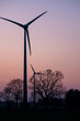 Windkraftanlagen im Sonnenuntergang mit Bäumen im Wald und Krähen