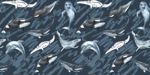 Wall Mural - Seamless pattern. Repeating texture with marine mammals. Watercolor illustration. Dolphin, killer whale, humpback whale. Hand drawn isolated on a white background. Textile, fabric, wallpaper