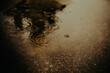 On a dark and rainy evening, the raindrops fell into a puddle in the city streets. The weather was bad.