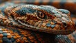  a close up of a snake's head with orange, blue, and black stripes on it's skin.