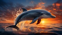  A Dolphin Jumping Out Of The Water In Front Of A Sunset With Clouds And Water Splashing On The Water.