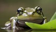 A Frog With Its Eyes Focused Intently On Its Prey