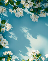  White flowers branches frame on blue background
