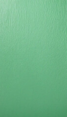 Wall Mural - Light green vertical grny gradient background noise texture effect