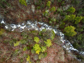 Wall Mural - Top down of a flowing creek in the forest